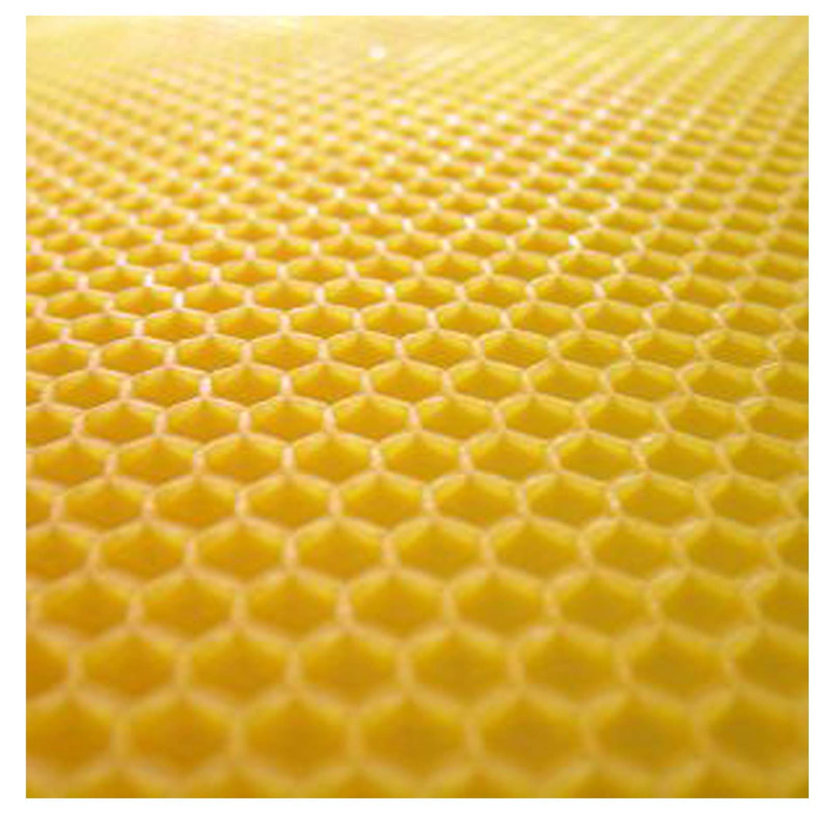 Zellmaß: 5,4mm 2kg Mittelwände im Zandermaß aus echtem Bienenwachs 