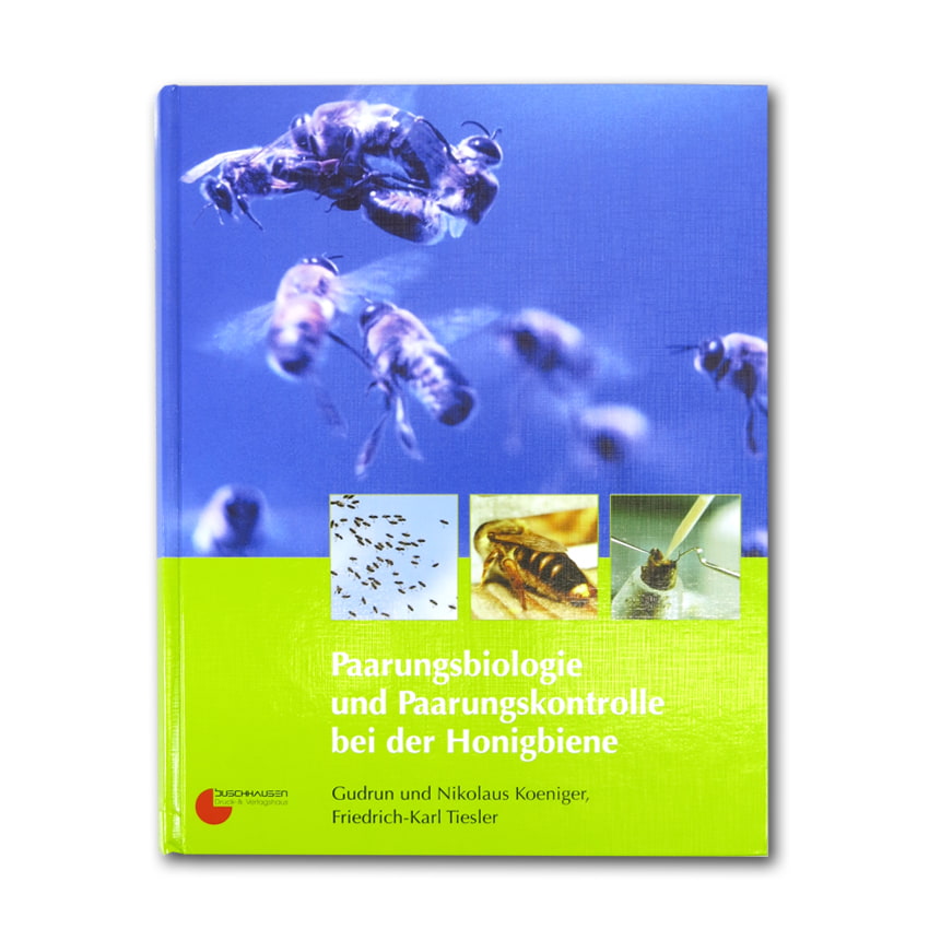 Paarungsbiologie bei der Honigbiene