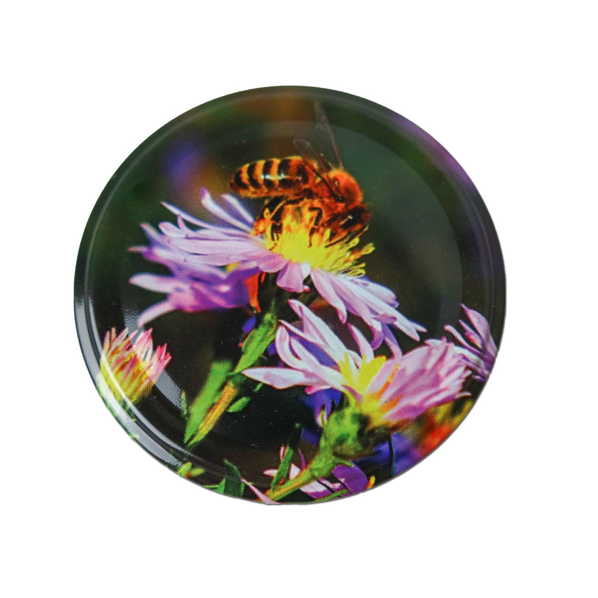 Deckel Aster bunt 