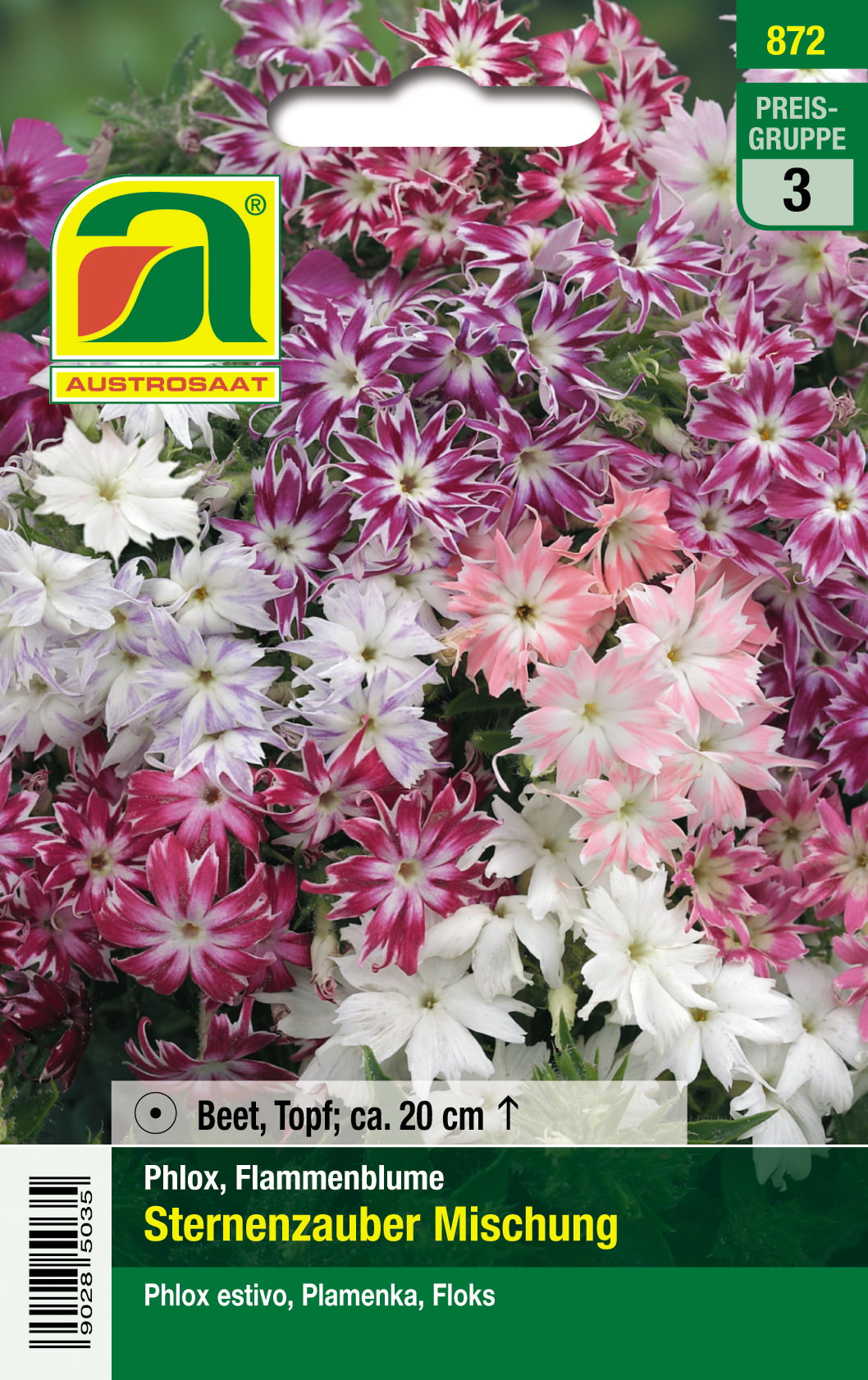 Phlox Sternenzauber Mischung
