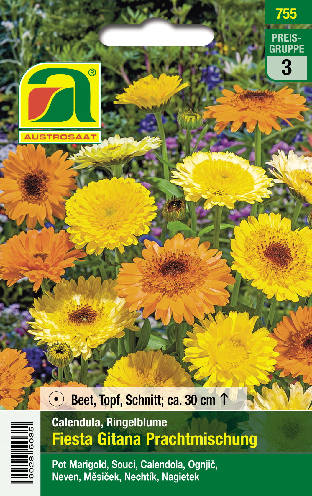 Ringelblume Prachtmischung