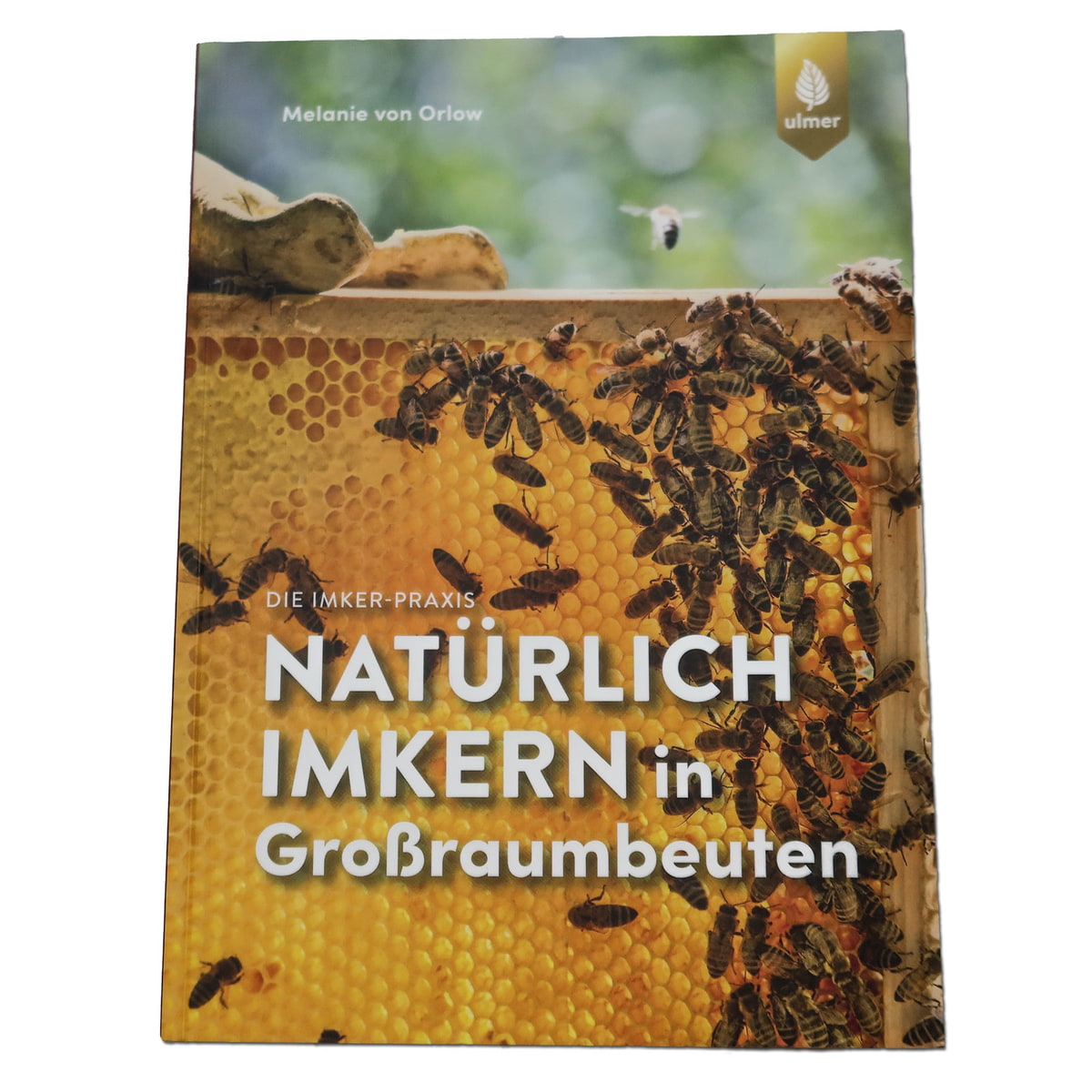 Natürlich Imkern in Großraumbeuten