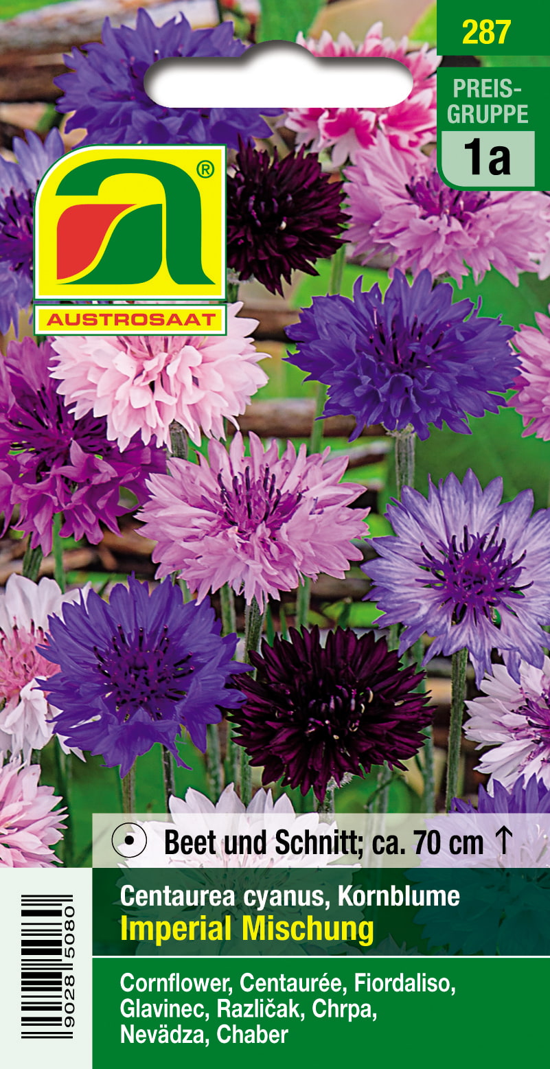 Kornblume Mischung