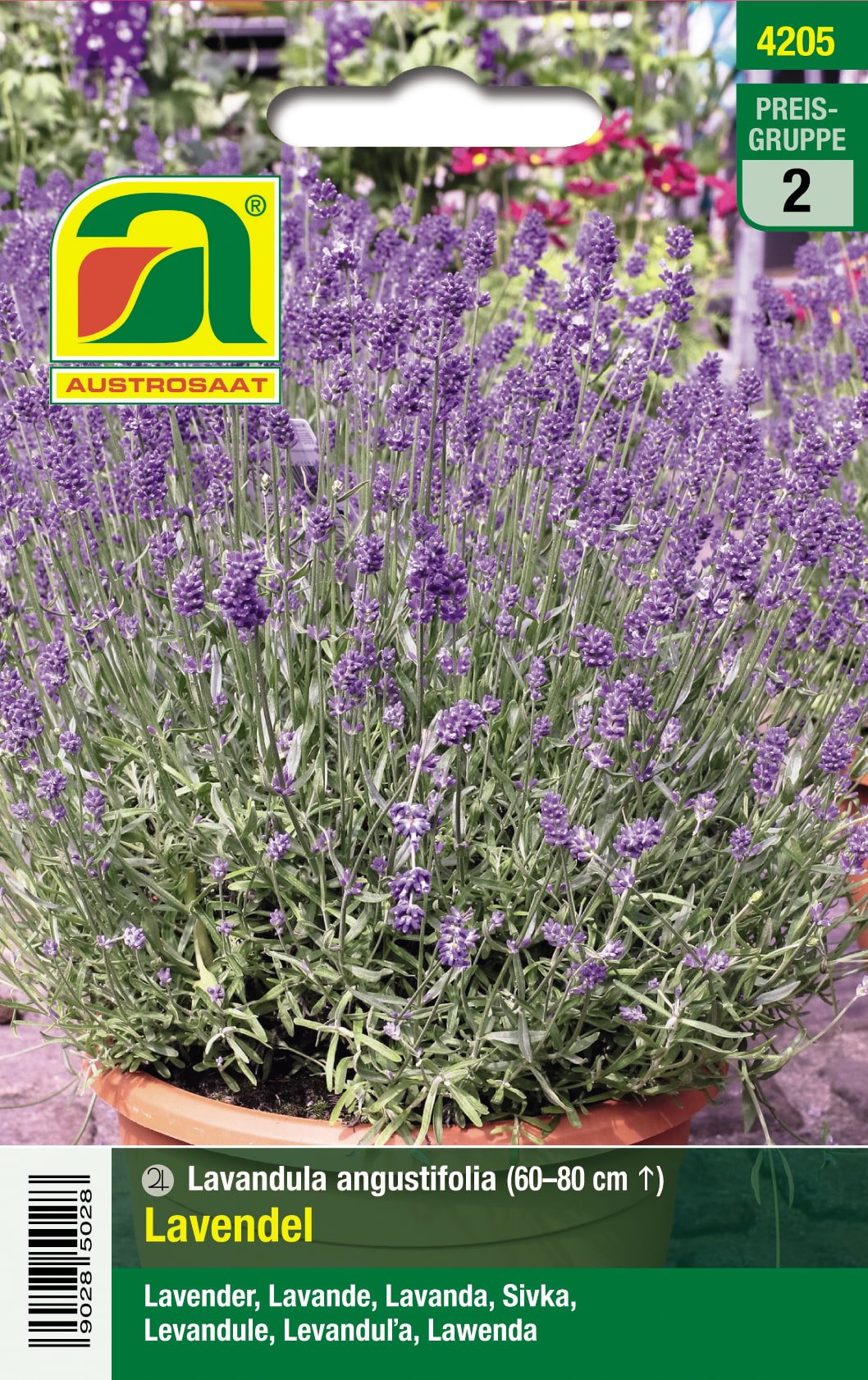 Lavendel