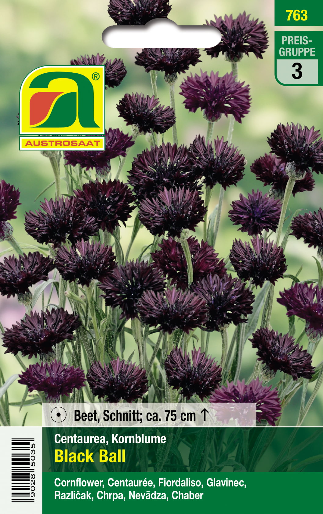 Kornblume Black Ball