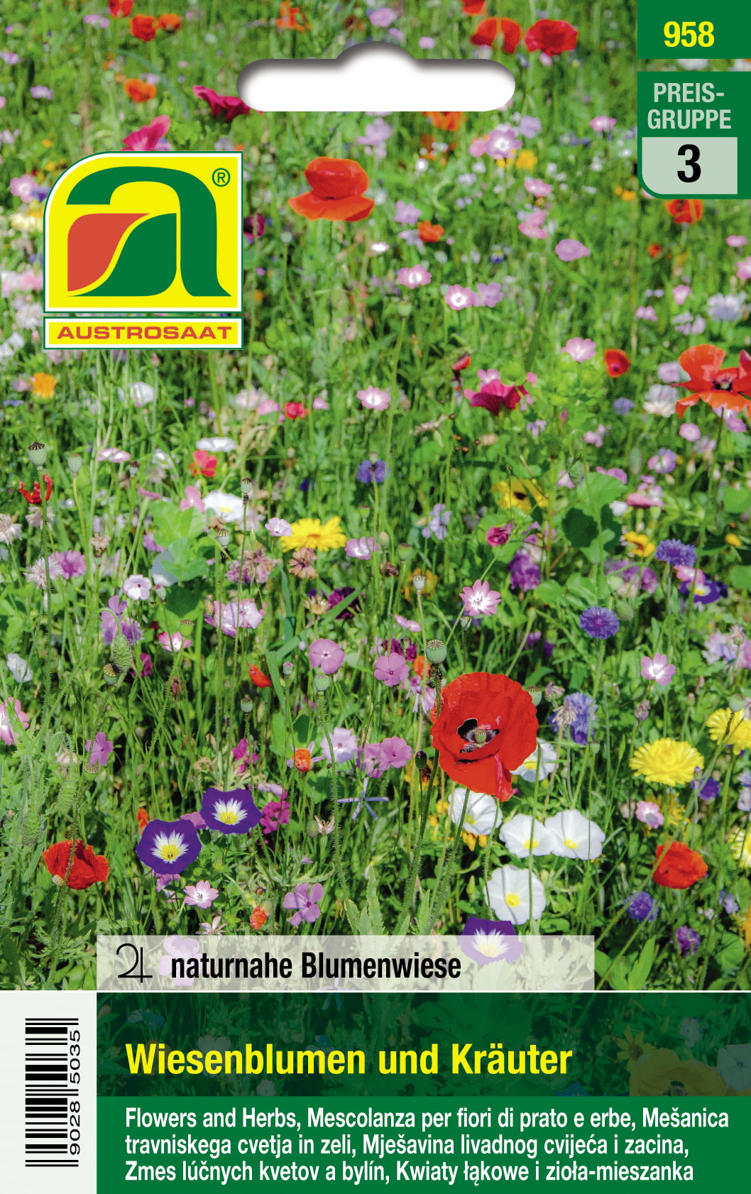 Wiesenblumen und Kräuter