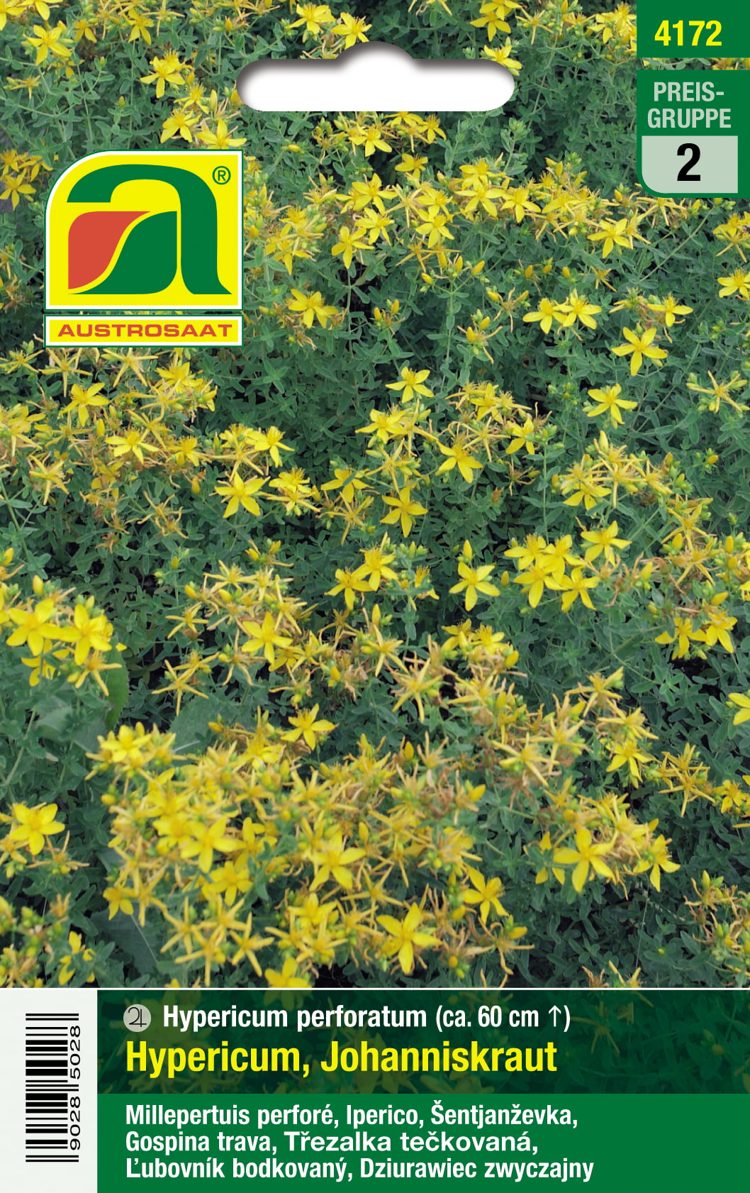 Johanniskraut, Hypericum