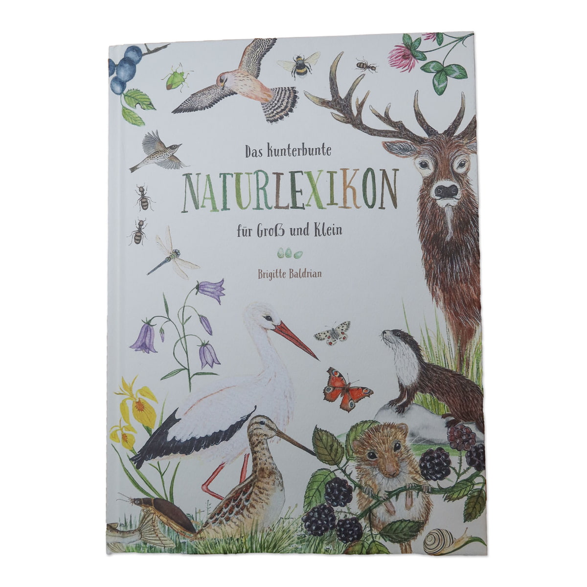Naturlexikon