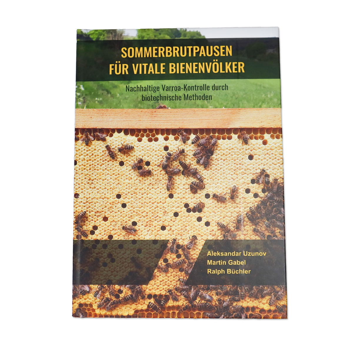 Sommerbrutpausen für vitale Bienenvölker
